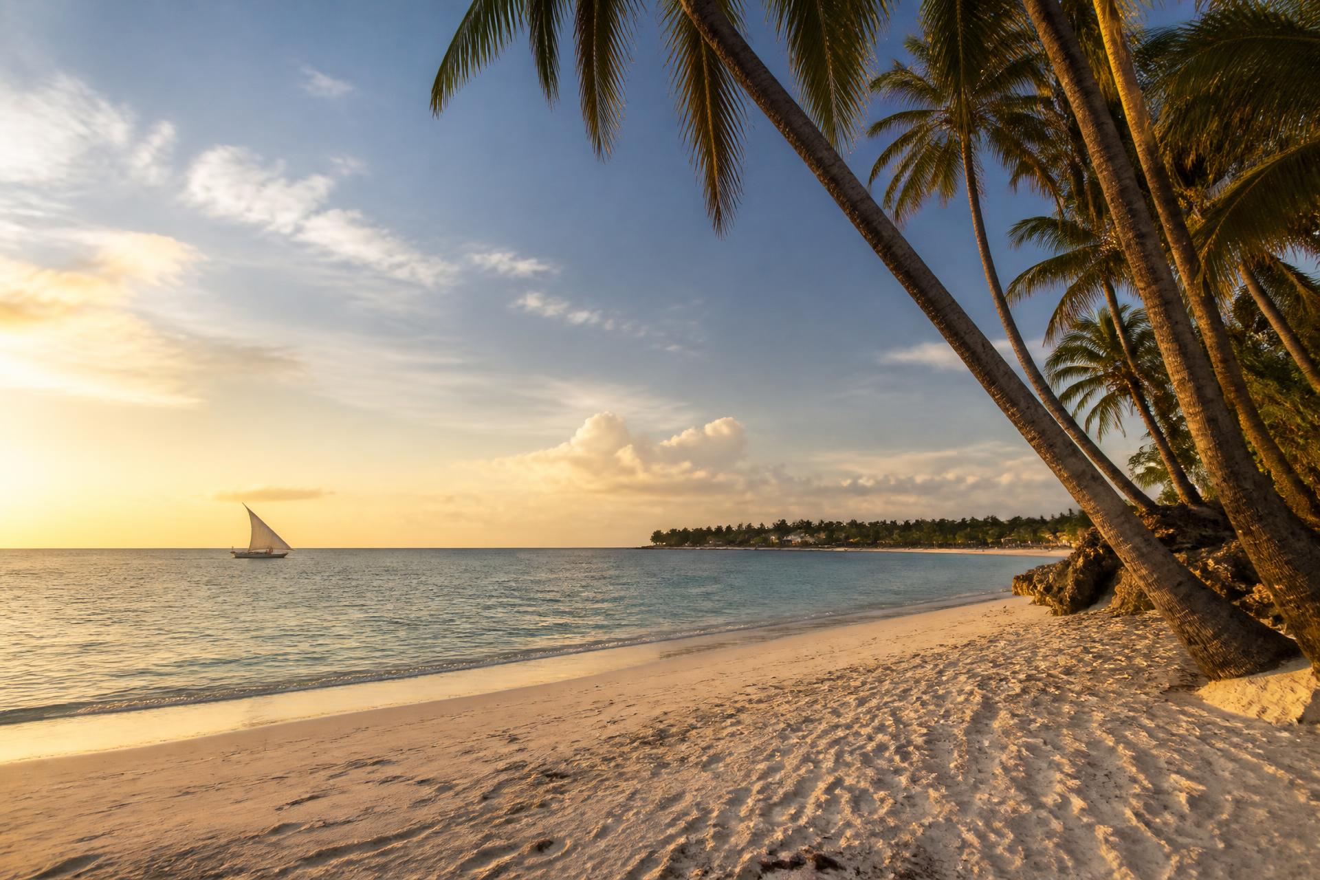 Turquoise waters and palms at Diani Beach