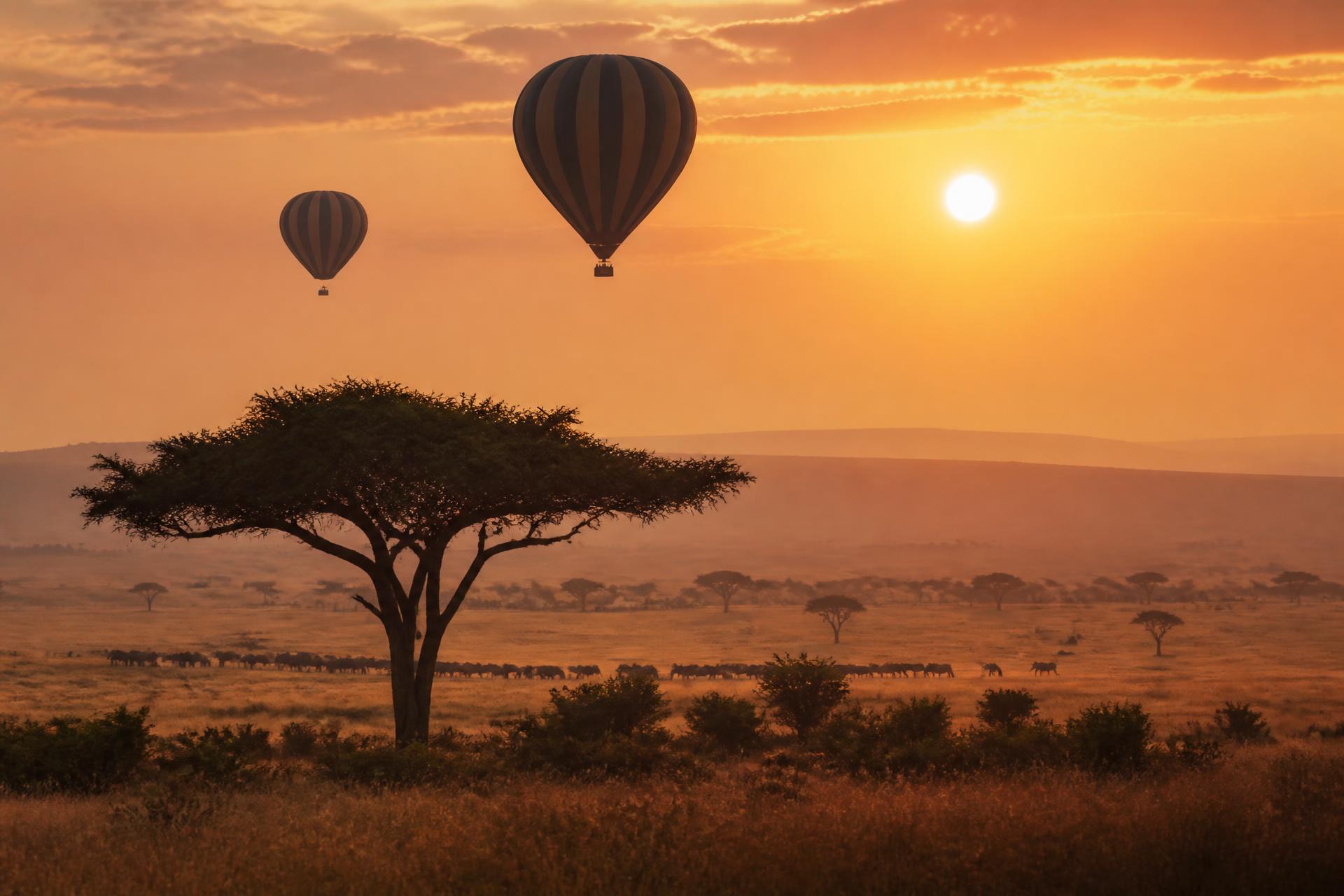Hot air balloons over the Maasai Mara at sunrise